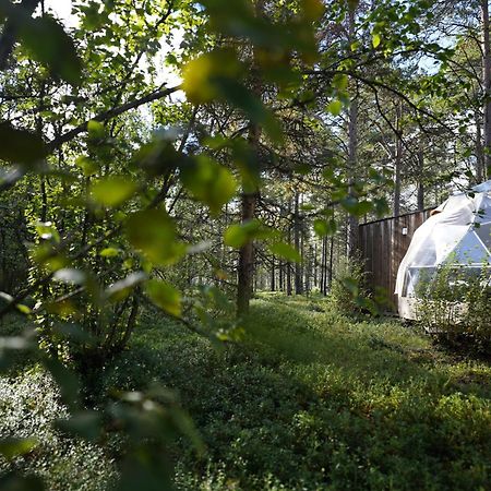 Glod Aurora Canvas Dome Alta Buitenkant foto