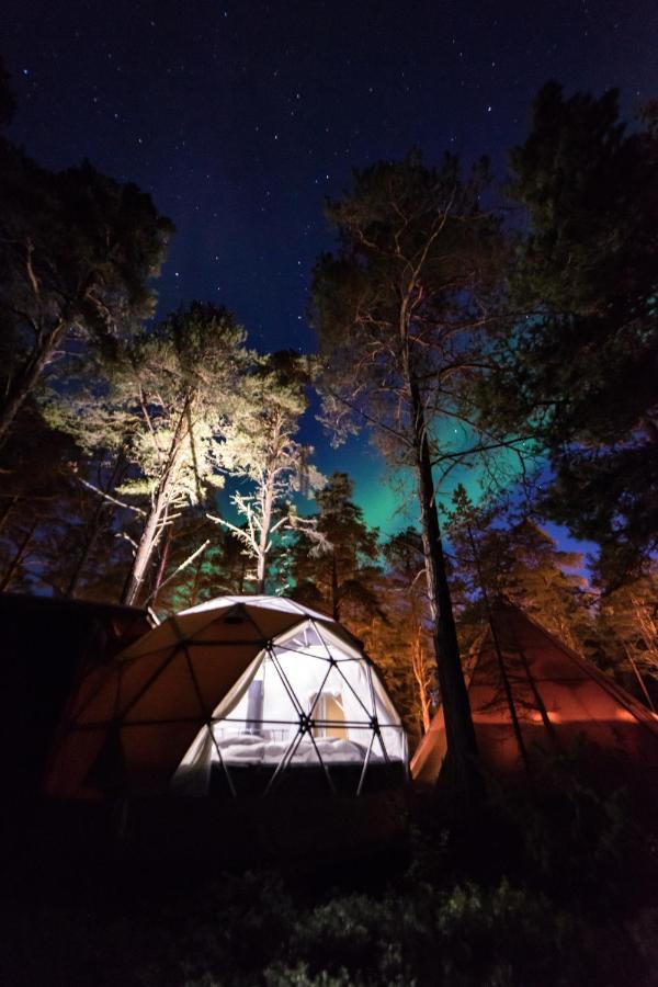 Glod Aurora Canvas Dome Alta Buitenkant foto