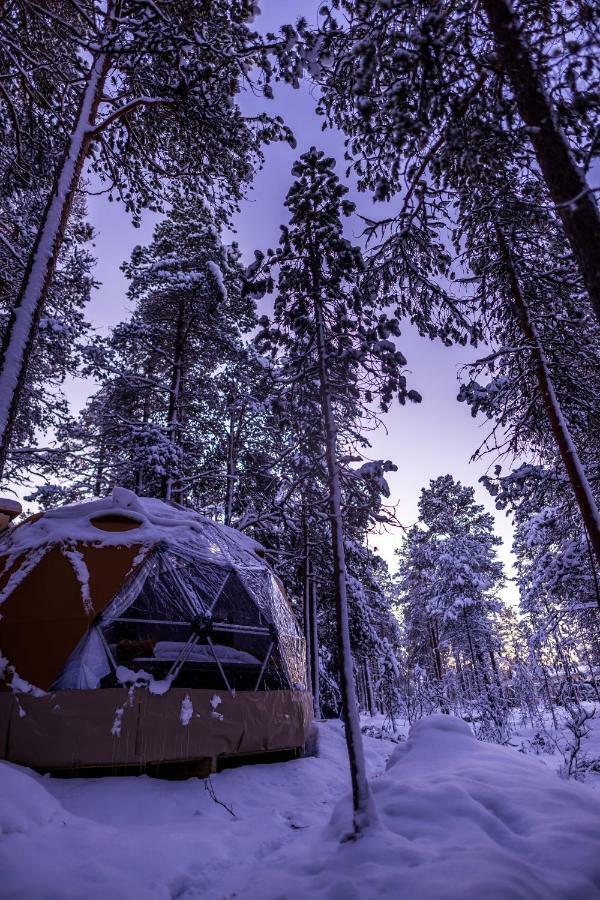 Glod Aurora Canvas Dome Alta Buitenkant foto